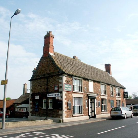 The White Bull