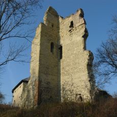 Dražice Castle
