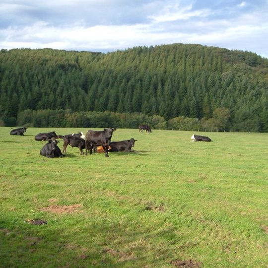 Burley Wood Hillfort