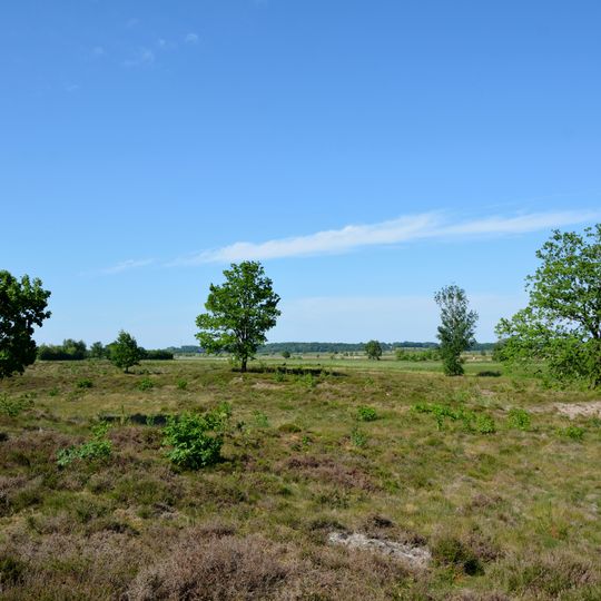 Jägersburger Heide