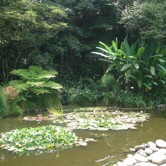 Jardín Botánico Francisco J. Clavijero