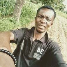 Dida Forest