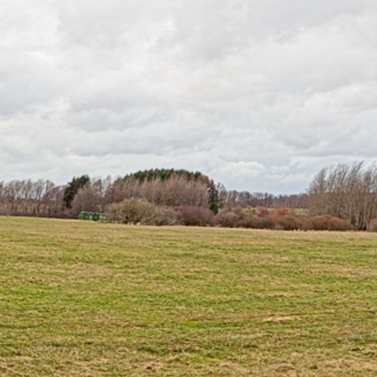 Neunkhausener Plateau