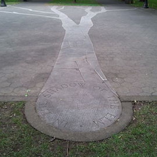 In the Shadow of the Elm