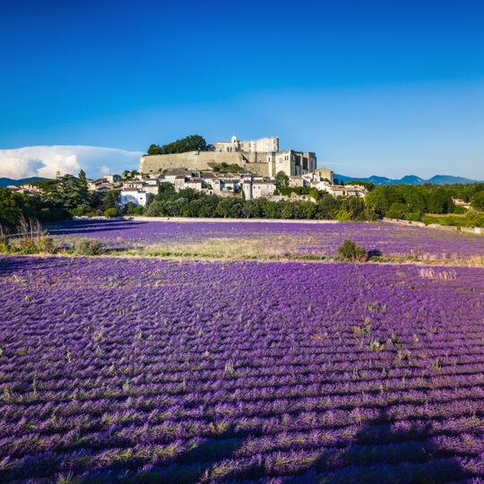 Castelo de Grignan