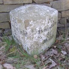 Milestone Opposite Number 31