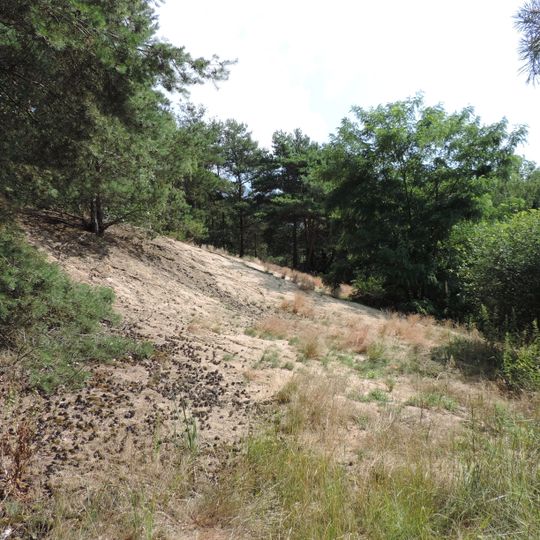 Naturdenkmal Parabeldüne 800m N-O; Flur 4; 5, 6; 8 Flurstück 14; 7, 8, 9, 10; 15/1, 15/2; 10/2 in Horstwalde