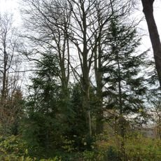 Castle Cartils: wooden gazebo