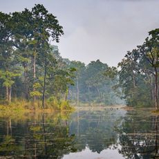 Park Narodowy Ćitwan
