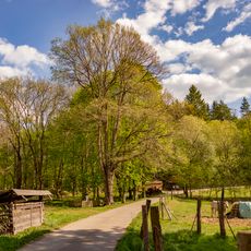 Jilm vaz u hájovny v Turyni