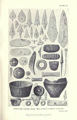 Immagine alternativa