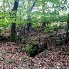 Hügelgräbergruppe Aichberg in Eibiswald