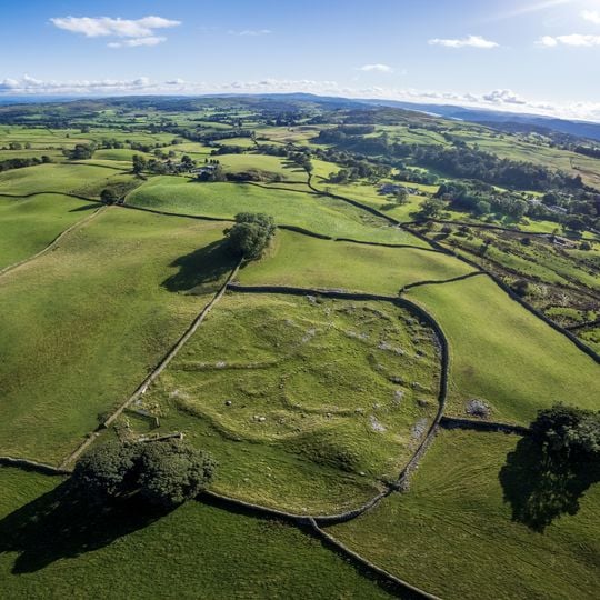 Romano-British settlement, 450m east of High Borrans