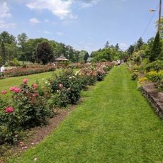 Renziehausen Park Rose Garden and Arboretum