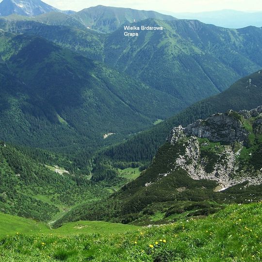 Veľká brdárova grapa