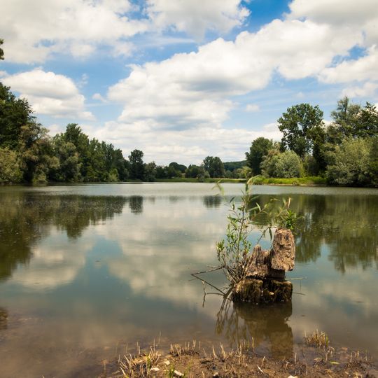 Grienwiesen und Wernauer Baggerseen