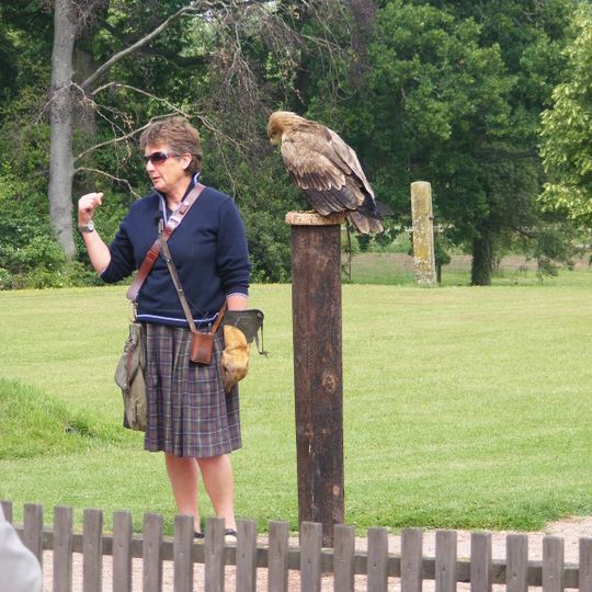International Centre for Birds of Prey