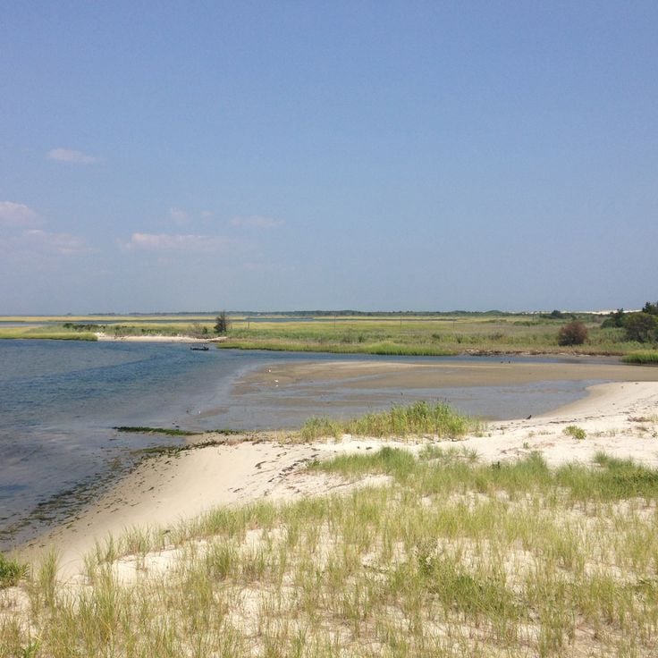 Island Beach State Park