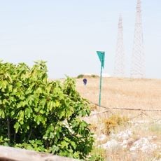 Riserva naturale integrale Grotta Palombara