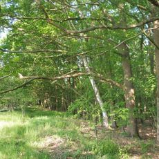 Hügelgräberfeld Mantinghausen