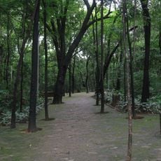 Parque da Matinha