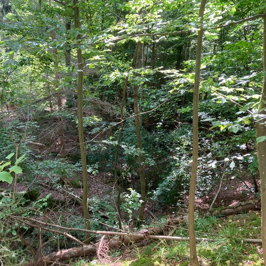 Stubensandsteinbruch mit Tümpel