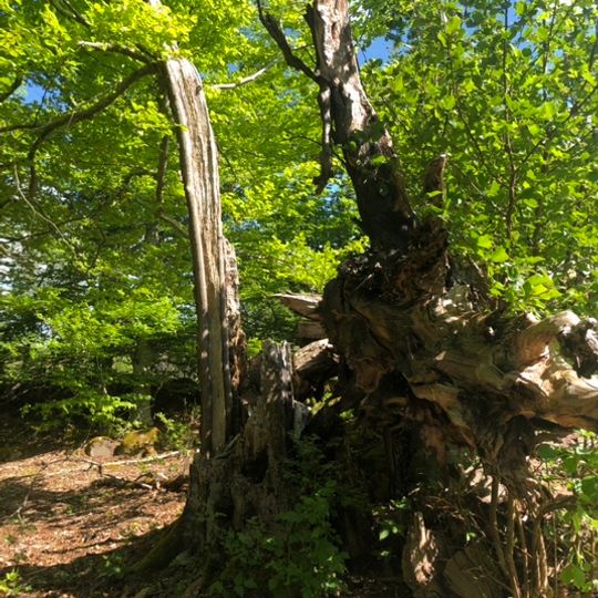 Stubbalyckeboken, Stubbalycke 1:2