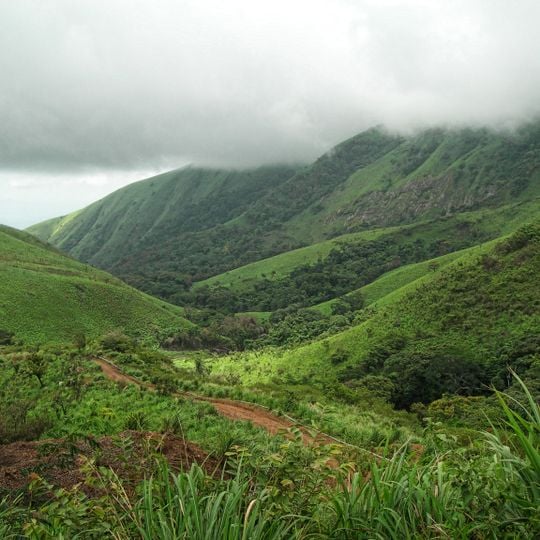 Mount Nimba Strict Nature Reserve