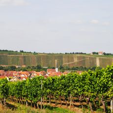 Burgstall Vogelsburg