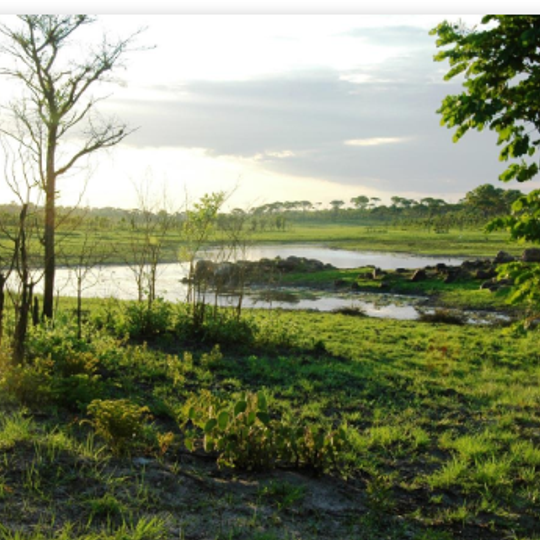 Parco nazionale di Huila