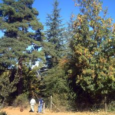 Arboretum La Alfaguara