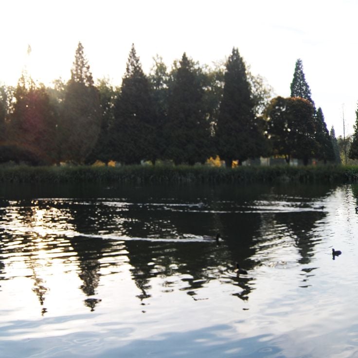 Jardin de Rhododendrons Crystal Springs