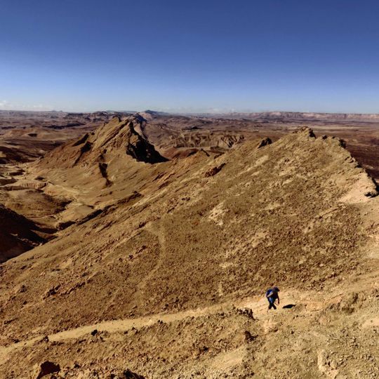 תצפית לכרבולת חררים