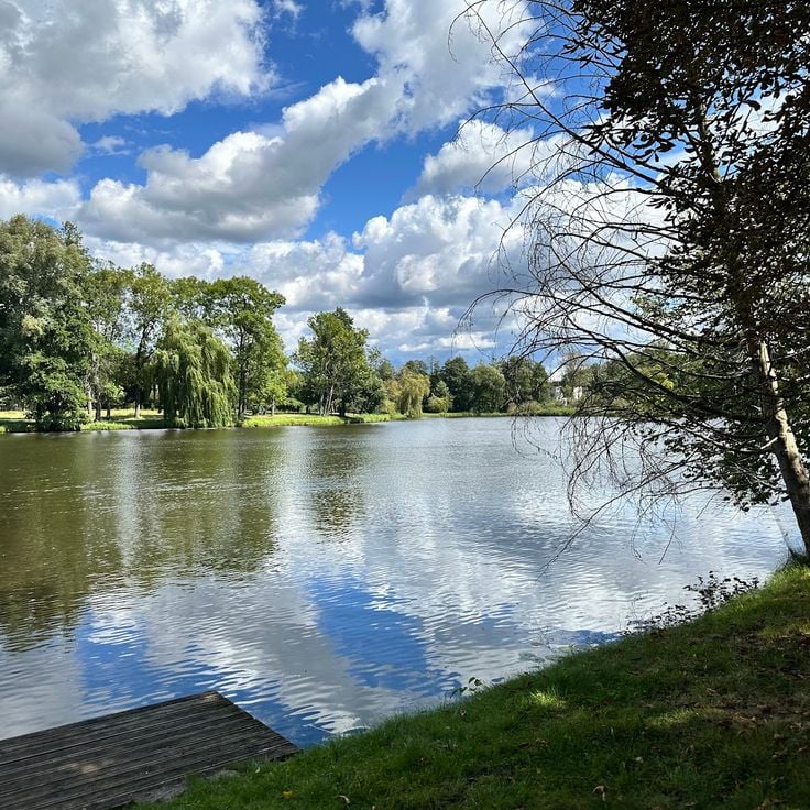 Zespół pałacowo-parkowy w Radziejowicach