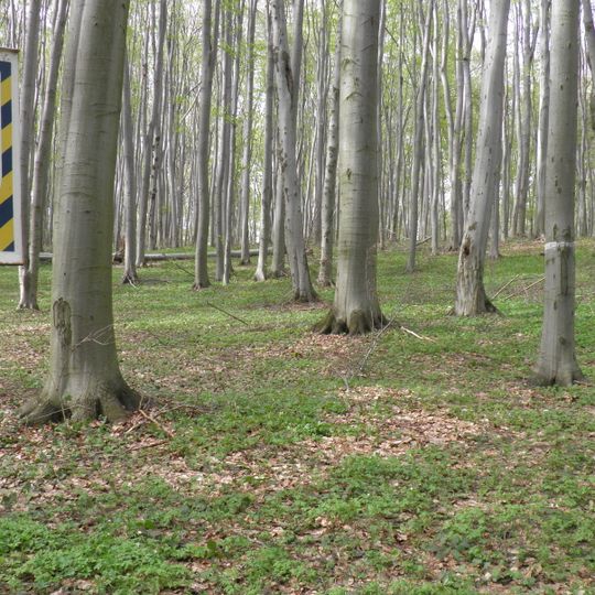 Rezerwat przyrody Majdan