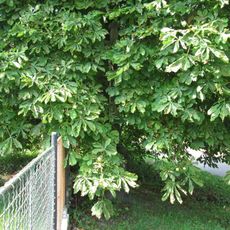 Kříž u Horního Plezomu