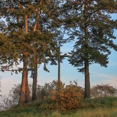Dřevěný kříž u Třeštiny Za Humny