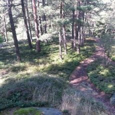 Höhensiedlung am Wartenstein