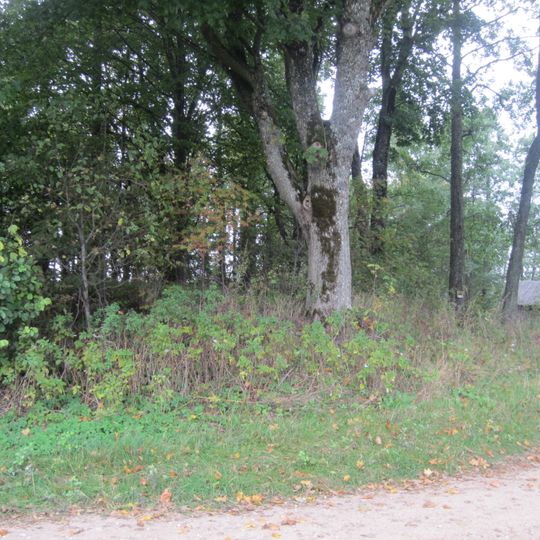 Dzintarnieku viduslaiku kapsēta