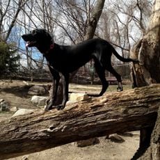 Glen Oaks Mini Water Park