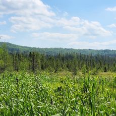 Boulter-Depot Creek Conservation Reserve