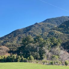 Paremata Flats Reserve