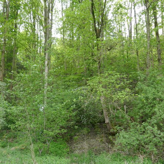 NSG Tuffstein bei Bueren