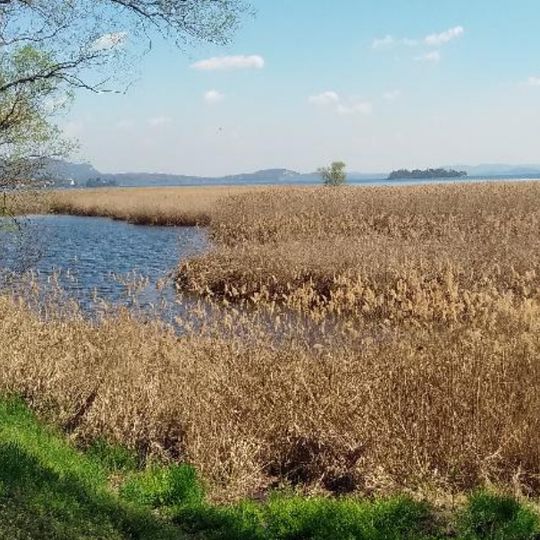 Riserva naturale speciale Fondo Toce