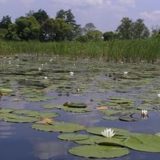 Hetman National Nature Park