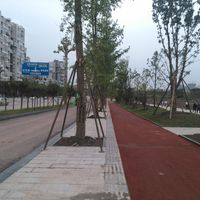 Distretto di Shizhong (Neijiang)