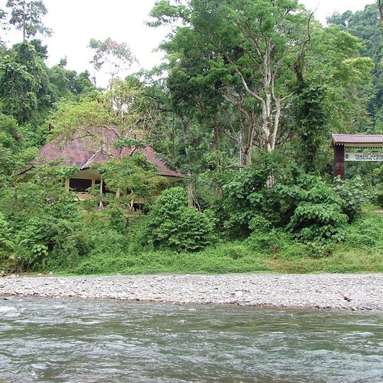 Parc national de Gunung Leuser