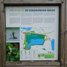 Verdronken Weide