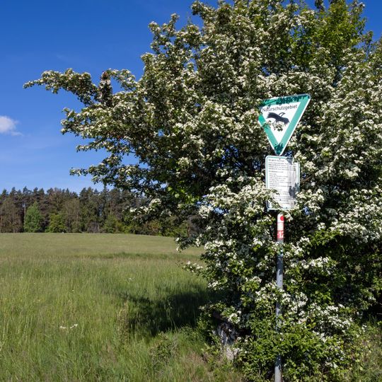 Pegnitzau zwischen Ranna und Michelfeld