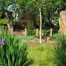 Furman University Japanese Garden